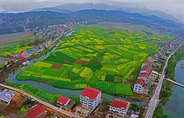 枞阳县白云岩最新消息