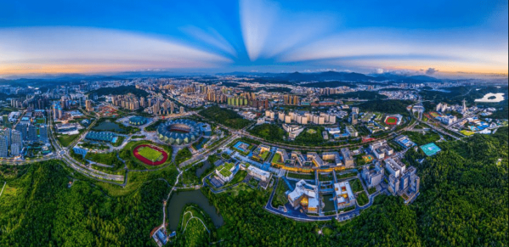 龙岗最新