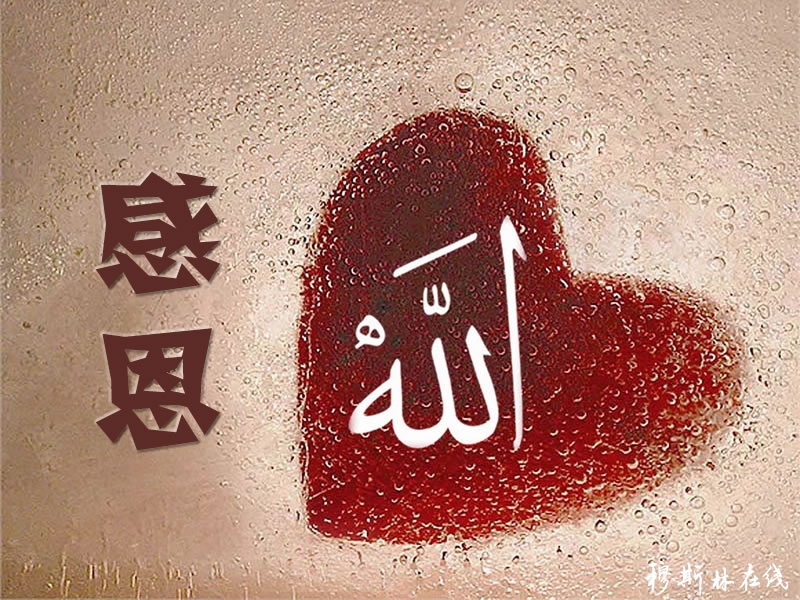 安拉最新
