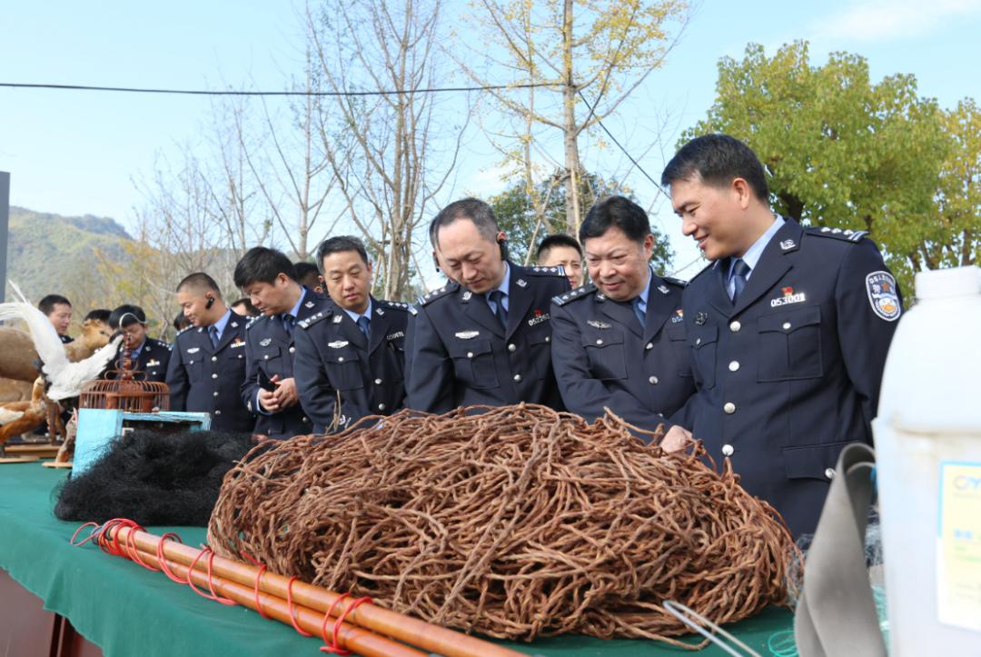 最新互评