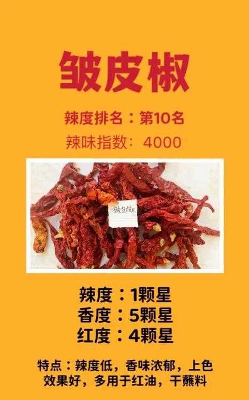 辣椒最新
