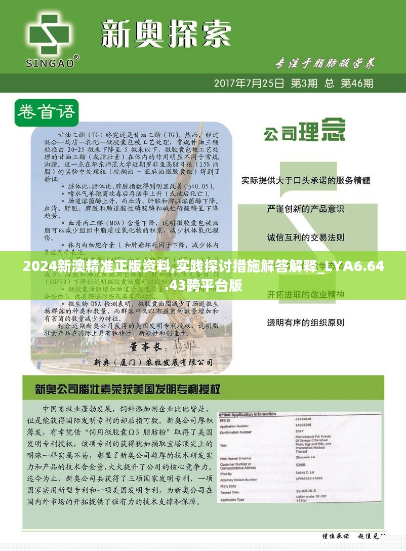 2024-2025新奥历史开奖记录大全|实用释义解释落实