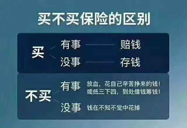 今期新澳门三肖三码100%精准|精选解析解释落实