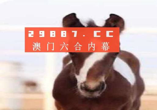 澳門一肖一碼100%精准王中王|精选解析解释落实