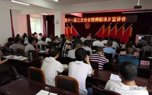 6OO图库正版资料|全面贯彻解释落实
